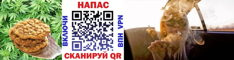наркошоп  Циолковский  Canna-Cookies марихуана 