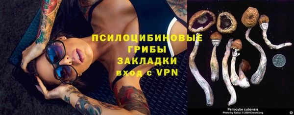 дмт Семёнов