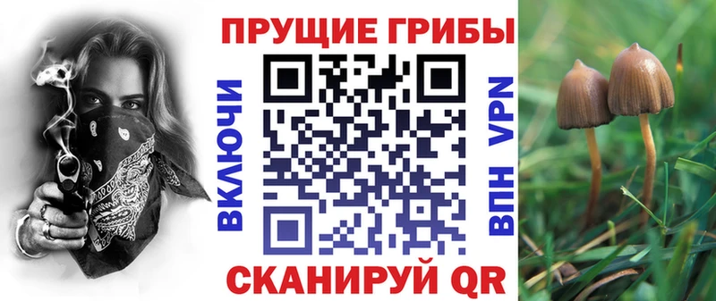 Галлюциногенные грибы ЛСД  где купить   Циолковский 
