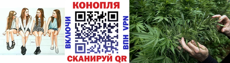 Шишки марихуана White Widow  Циолковский 